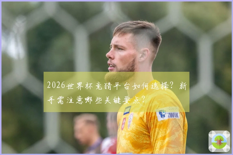2026世界杯竞猜平台如何选择？新手需注意哪些关键要点？
