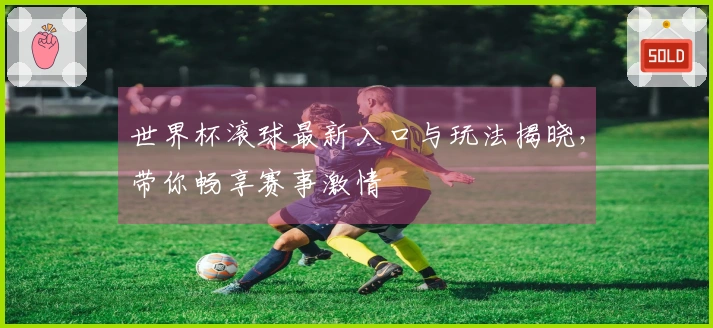 世界杯滚球最新入口与玩法揭晓，带你畅享赛事激情