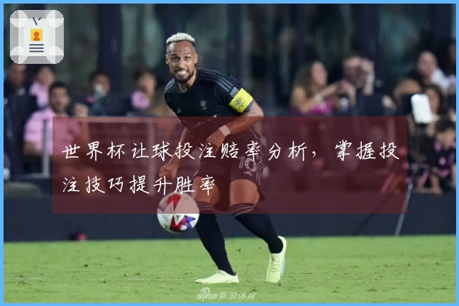 世界杯让球投注赔率分析，掌握投注技巧提升胜率