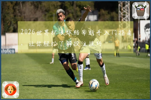 2026世界杯滚球赔率新手入门指南，让你轻松了解投注技巧