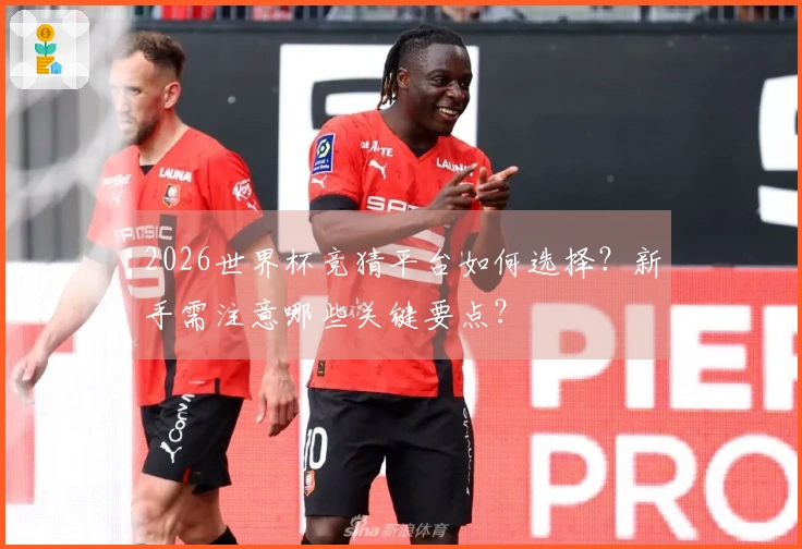 2026世界杯竞猜平台如何选择？新手需注意哪些关键要点？