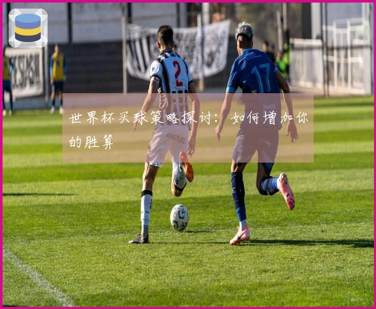 世界杯买球策略探讨:如何增加你的胜算