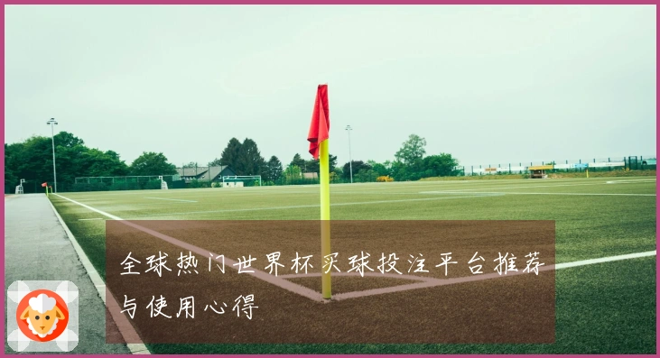 全球热门世界杯买球投注平台推荐与使用心得