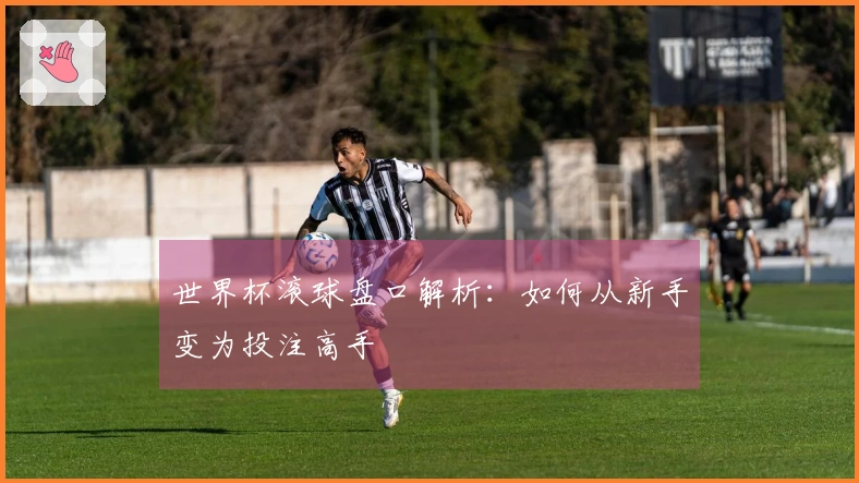 世界杯滚球盘口解析：如何从新手变为投注高手