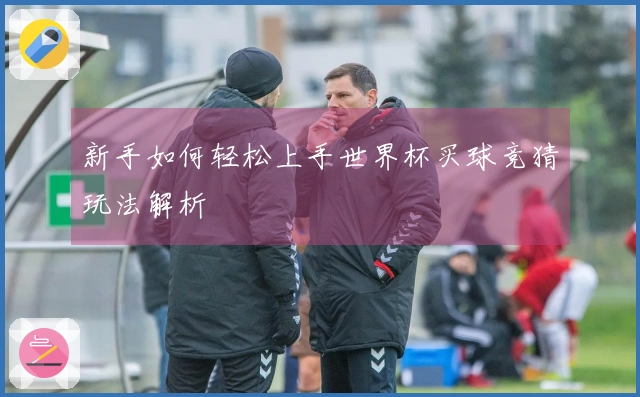 新手如何轻松上手世界杯买球竞猜玩法解析