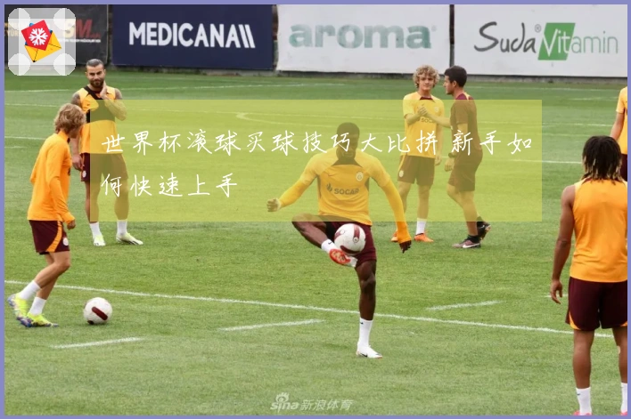世界杯滚球买球技巧大比拼 新手如何快速上手