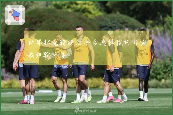 世界杯竞猜投注平台选择技巧与实战经验分享