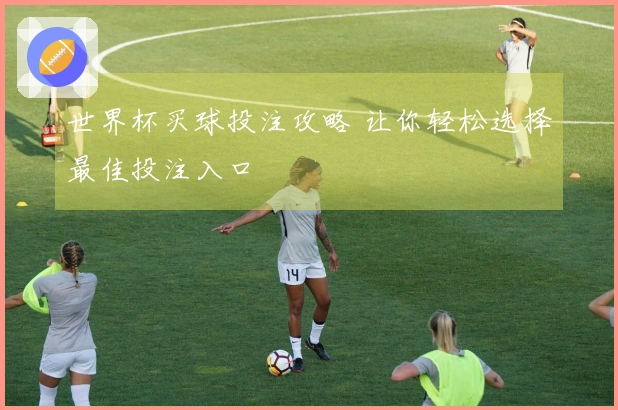世界杯买球投注攻略 让你轻松选择最佳投注入口
