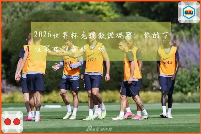 2026世界杯竞猜数据观察：你的下注策略准备好了吗