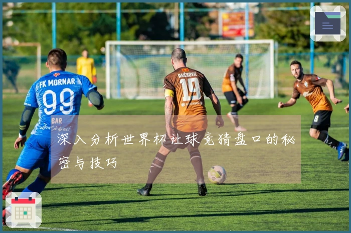 深入分析世界杯让球竞猜盘口的秘密与技巧