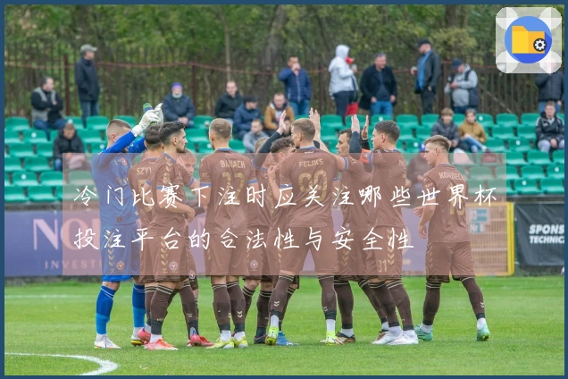 冷门比赛下注时应关注哪些世界杯投注平台的合法性与安全性