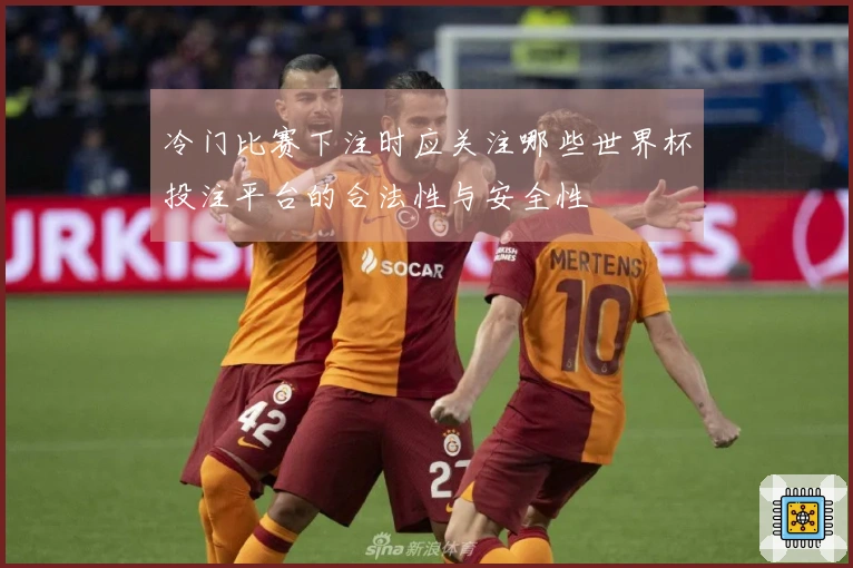 冷门比赛下注时应关注哪些世界杯投注平台的合法性与安全性